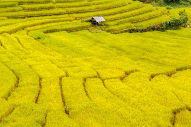 Yeşil Mae La Noi, Maehongson il, Tayland pirinç alan teraslı