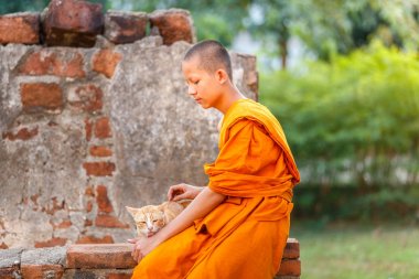 Ayutthaya Eyaleti, Tayland, tapınak kedi oynayan genç acemi rahipler