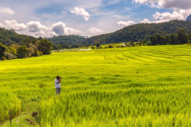 Genç adam fotoğrafçı almak fotoğraf yeşil teraslı pirinç alanında Mae Klang Luang, Mae Chaem, Chiang Mai, Tayland