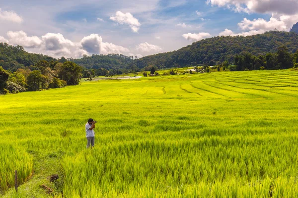 Jovem fotógrafo tirar uma foto verde campo de arroz em terraços em Mae Klang Luang, Mae Chaem, Chiang Mai, Tailândia — Fotografia de Stock