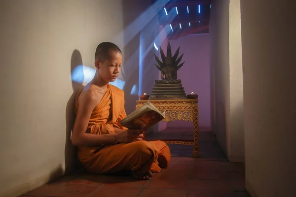 Jovem monge novato lendo um livro no parque histórico Ayutthaya na Tailândia — Fotografia de Stock