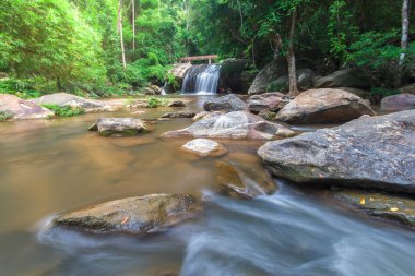Ormandaki güzel küçük şelale