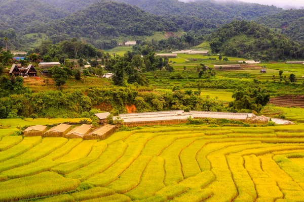 Yeşil Mae La Noi, Maehongson il, Tayland pirinç alan teraslı — Stok fotoğraf