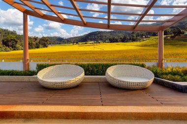 Köşede kat mülkiyeti çatı Bahçe sandalye ile yeşil teraslı Pa Pong Pieng pirinç alanında Chiang mai arka plan, Relaxing kavramı, sakin ol