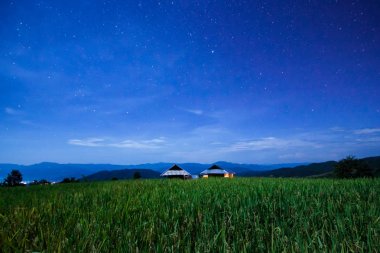 Yıldızlar ve uzay tozu yeşil teraslı pirinç alanında Pa Pong Pieng, Mae Chaem, Chiang Mai, Tayland