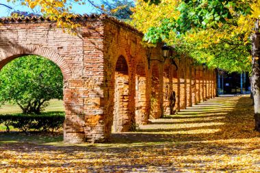 Renkli sonbahar ve eski tuğla duvar Toulouse 1 Üniversitesi Capitole parkta Toulouse, Fransa şehir merkezinde yer alır