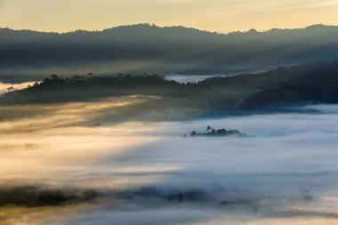 Bir seyahat yer Phayao il, Tayland Phu Langka Milli Parkı, sabah sis ile güzel gündoğumu