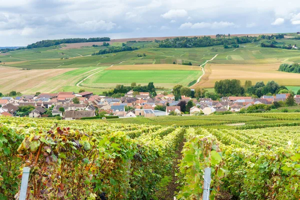 Vintage countryside at Reims, Reims is a city in northeastern France 's historical Champagne, Champagne Vineyards at sunset, Montagne de Reims, France — стоковое фото