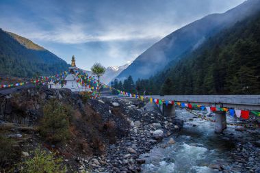 Güzel kış manzara sis ile kaplı ağaçlar Litang County, Sichuan, Çin