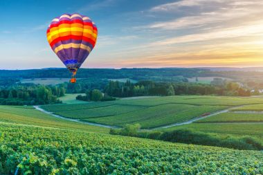 Renkli sıcak hava balonları şampanya bağları üzerinde uçuyor gün batımında Montagne de Reims, Fransa