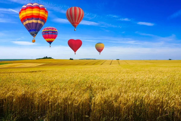Balões de ar quente coloridos voando sobre campo colhido e vista verde colina em um dia ensolarado ao pôr-do-sol montagne de Reims, França — Fotografia de Stock