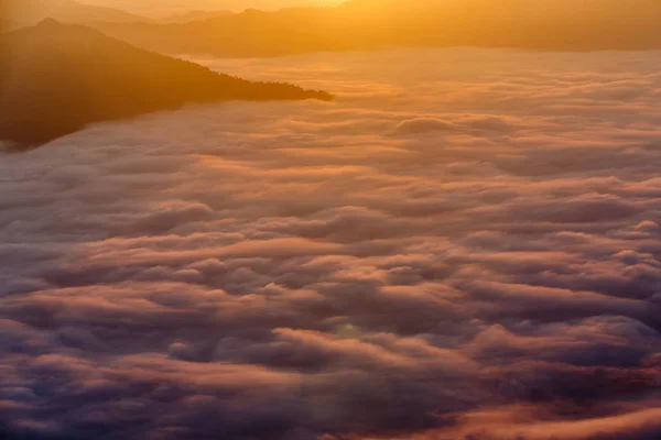 Ландшафт с туманом на горе Пхатунг в час восхода солнца, Чианг Рай, Таиланд . — стоковое фото