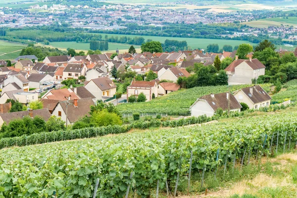 Paisaje escénico en el Champagne, Viñedos en el Montagne de Reims, Francia —  Fotos de Stock