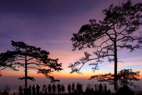 Phu Kradueng Parku Narodowego o wschodzie słońca w prowincji Loei, Tajlandia — Zdjęcie stockowe
