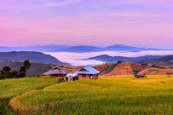 Mae-reçel Village, Chiang Mai Province, Tayland teraslı Paddy alanında güneş doğarken