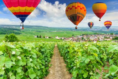 Montagne de Reims, Fransa, şampanya üzüm bağları üzerinde uçan renkli sıcak hava balonları