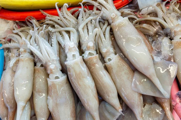 Grupo fresco de calamares en hielo, puesto de mercado local de pescado con mariscos frescos en Tailandia — Foto de Stock
