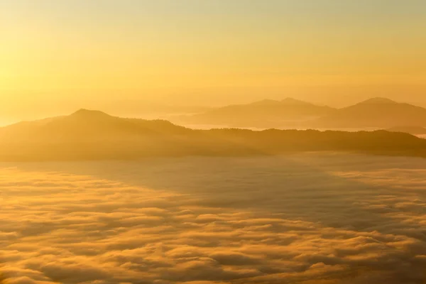 Пейзаж Туманом Горе Пха Тун Восходе Солнца Провинция Чианг Рай — стоковое фото