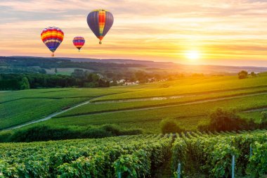 Renkli sıcak hava balonları şampanya bağları üzerinde uçuyor gün batımında Montagne de Reims, Fransa