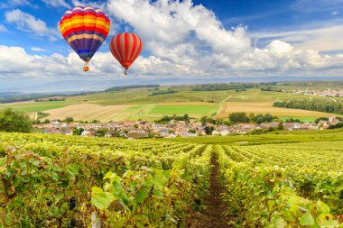 Renkli sıcak hava balonları şampanya bağları üzerinde uçuyor gün batımında Montagne de Reims, Fransa
