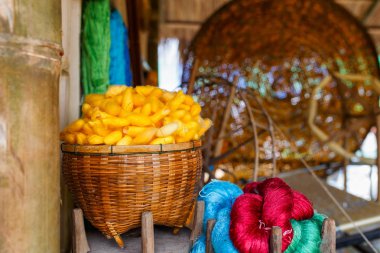 renkli İpek iplik ve ipekböceği koza yuva