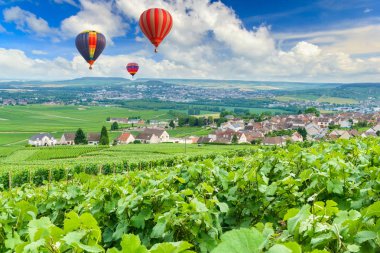 Montagne de Reims, Fransa, şampanya üzüm bağları üzerinde uçan renkli sıcak hava balonları