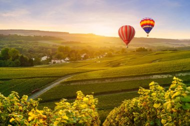 Montagne de Reims, Fransa, şampanya üzüm bağları üzerinde uçan renkli sıcak hava balonları