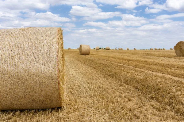 Straw bales stacked in a field at summer time — Stock Photo, Image