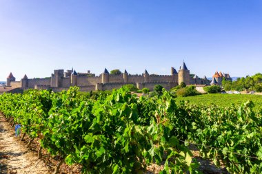 Carcassonne 'da şampanya bağları