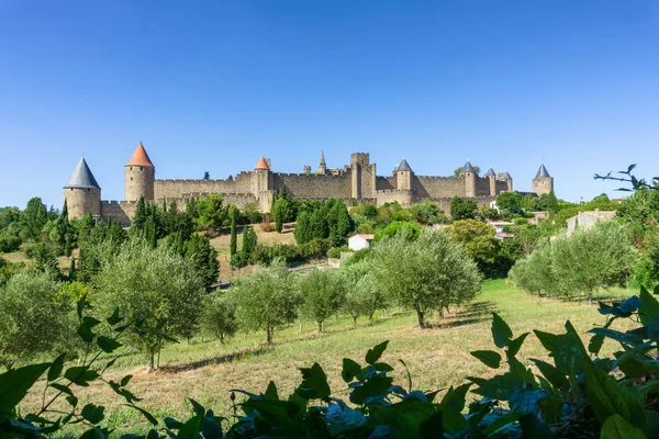 Cathedral Saint Michel of Carcassonne — Stock Photo, Image