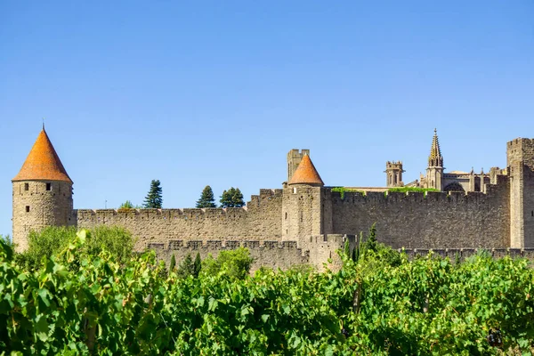 Champagne vineyards at Carcassonne — Stock Photo, Image