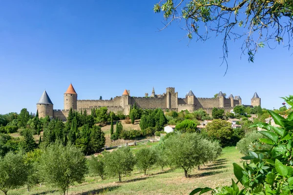 Cathedral Saint Michel of Carcassonne — Stock Photo, Image
