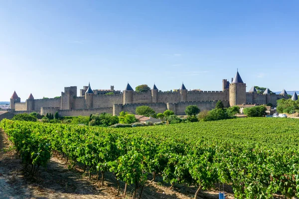 Champagne vineyards at Carcassonne background — Stock Photo, Image