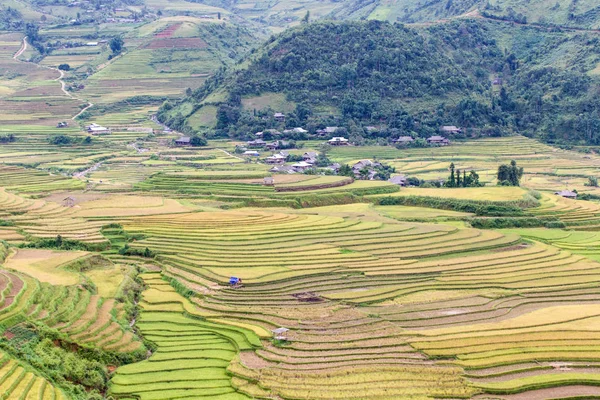 Zelené terasy rýžové pole na Mu Cang Chai — Stock fotografie