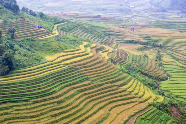Zelené terasy rýžové pole na Mu Cang Chai — Stock fotografie