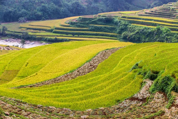 Zelená terasová rýžová pole v Mu Cang Chai — Stock fotografie