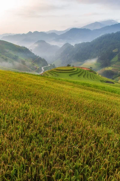 Krásný Výhled Zelené Terase Rýžové Pole Cang Chai Vietnam Krásná — Stock fotografie
