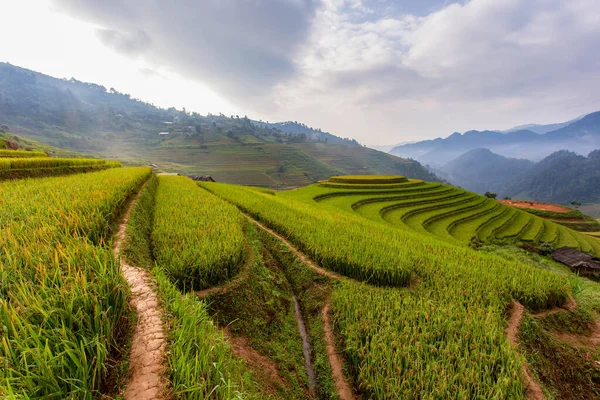 Krásný Výhled Zelené Terase Rýžové Pole Cang Chai Vietnam Krásná — Stock fotografie