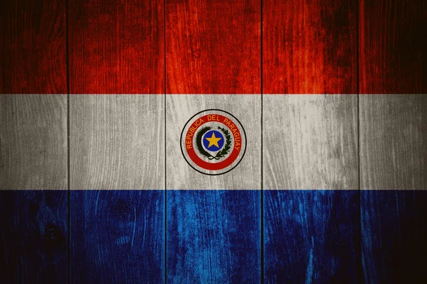Σημαία της Παραγουάης — Φωτογραφία Αρχείου