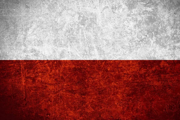 Polens flag - Stock-foto