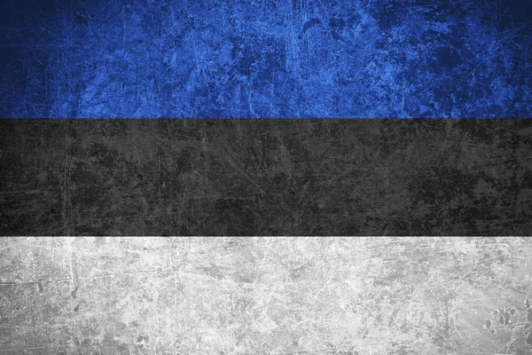 Flag of Estonia — Stock Photo, Image