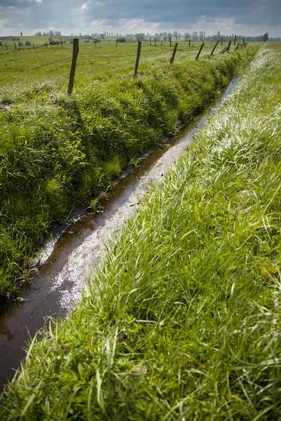 drainage ditch on meadow