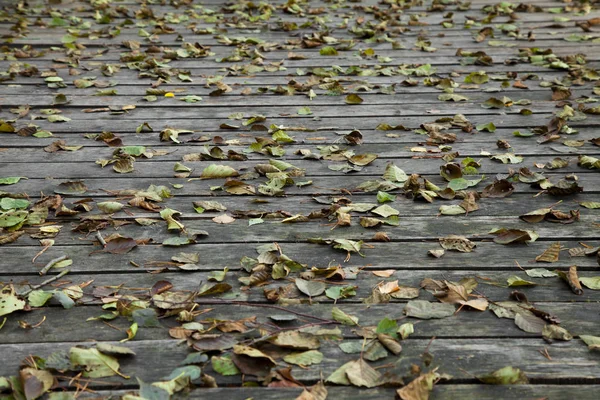 Autumnal leaves on wooden platform — Stock Photo, Image