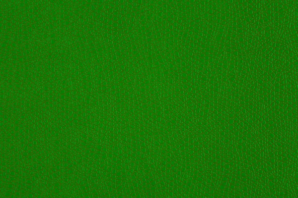 Textura de cuero verde — Foto de Stock