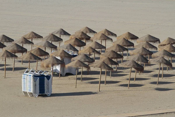 Aantal paraplu's en hangmatten in het strand — Stockfoto