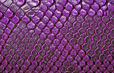 Yılan derisi arka plan olarak