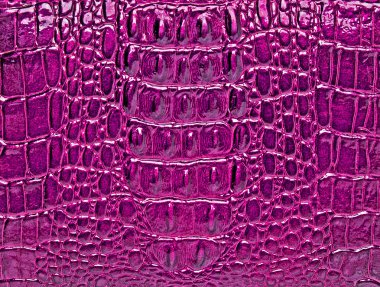 Timsah derisi doku arkaplanı