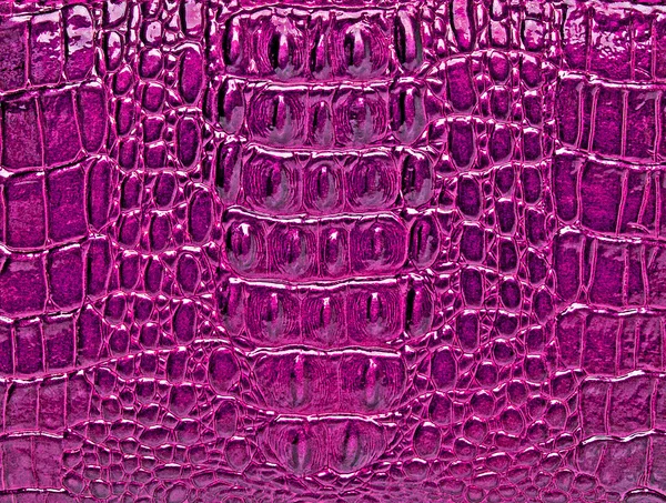 Timsah derisi doku arkaplanı