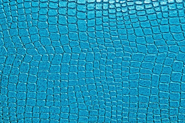 Crocodile cuir texture fond — Photo