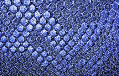 Yılan derisi arka plan olarak